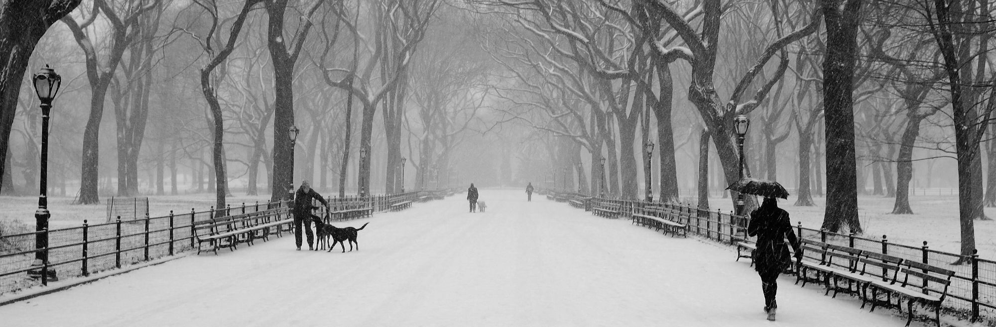 The Central Park Mall in the snow 2000 BW 2 web